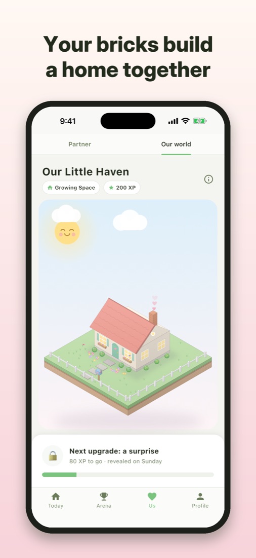 The home your bricks build